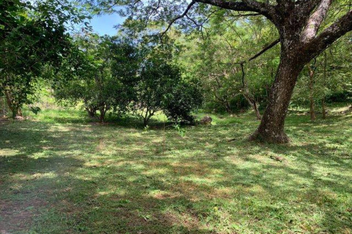 14602e51-f871-4663-a304-385e023574a6