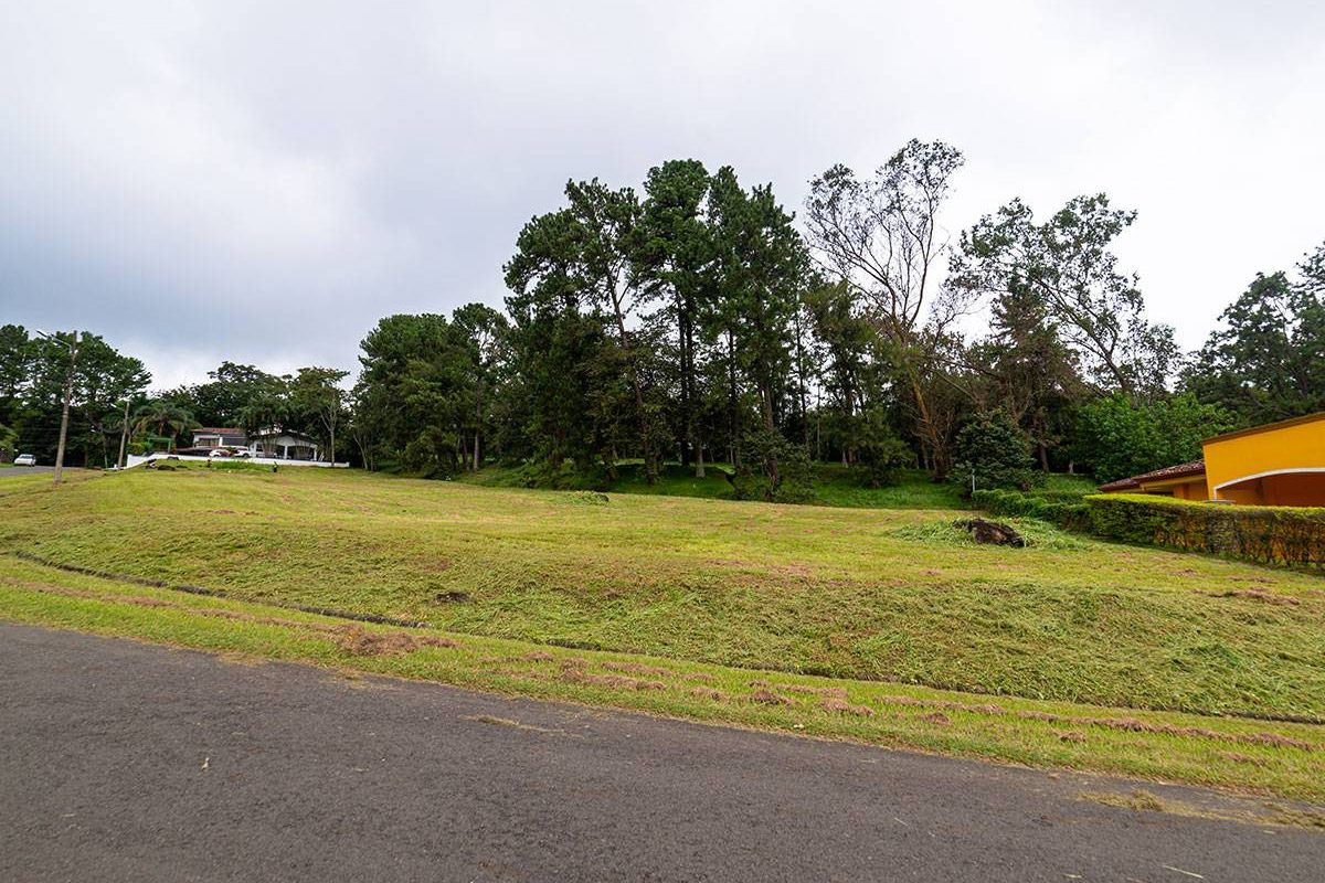 15-LOTE-98-LR
