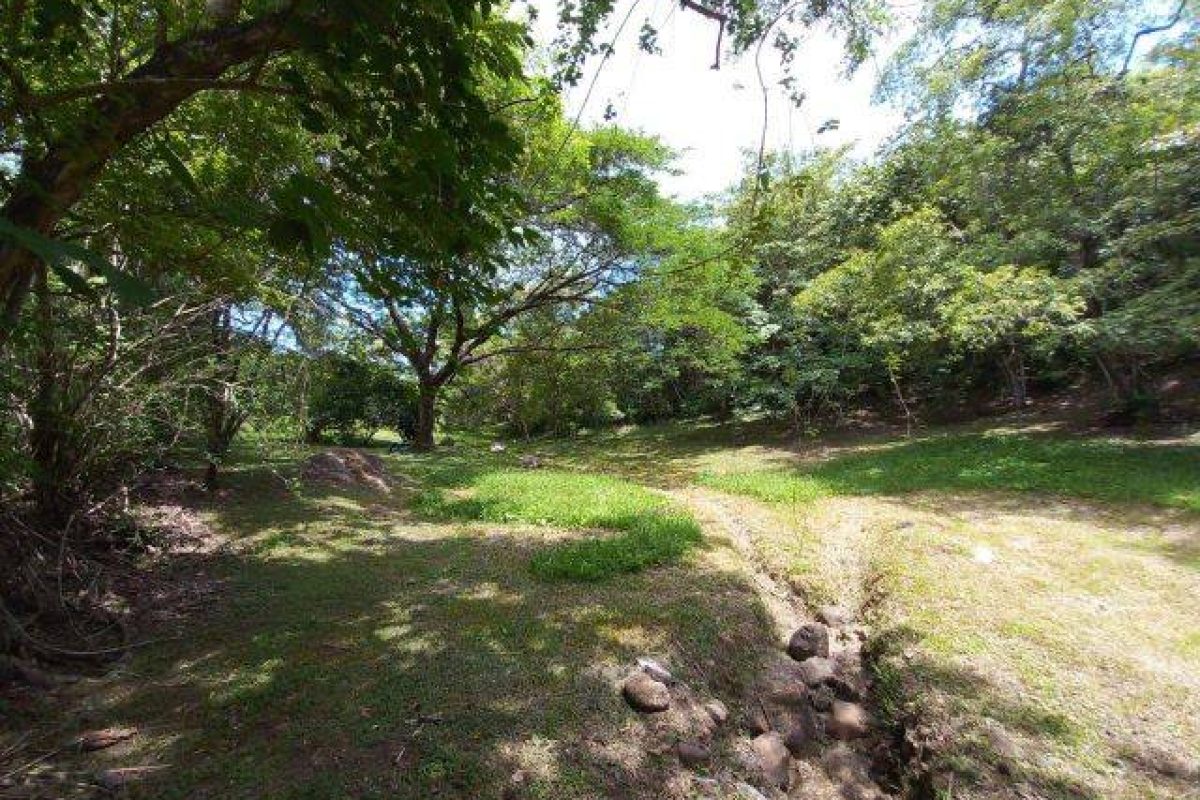 160cb82d-00ee-43d9-9156-185ee37cef40