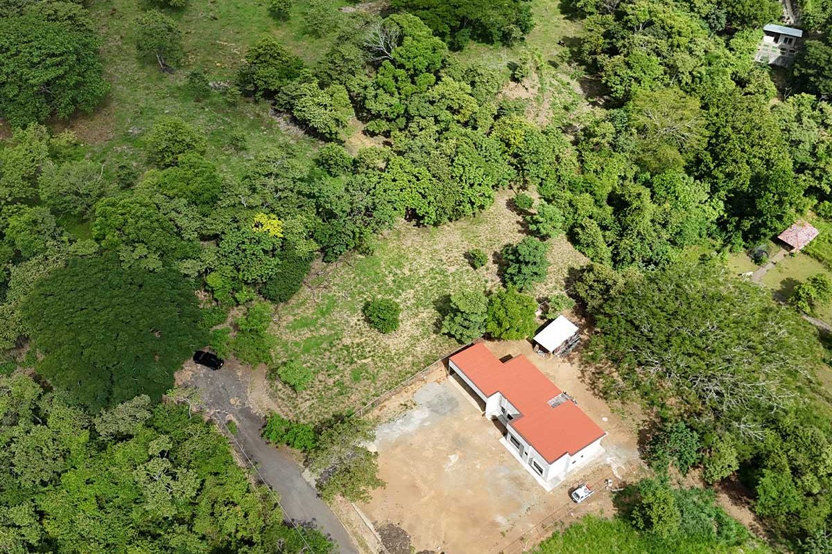 2-CABALLO-REAL-16