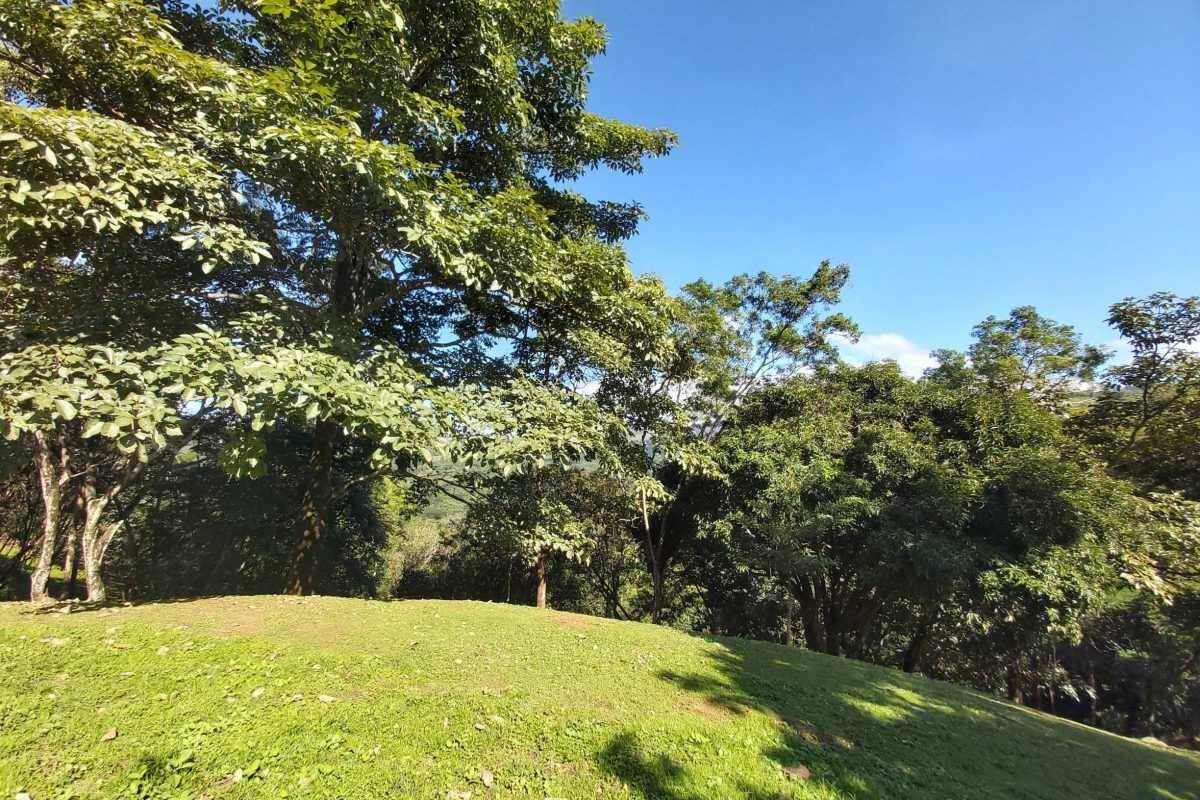 20211109_082954_copy_2448x1836