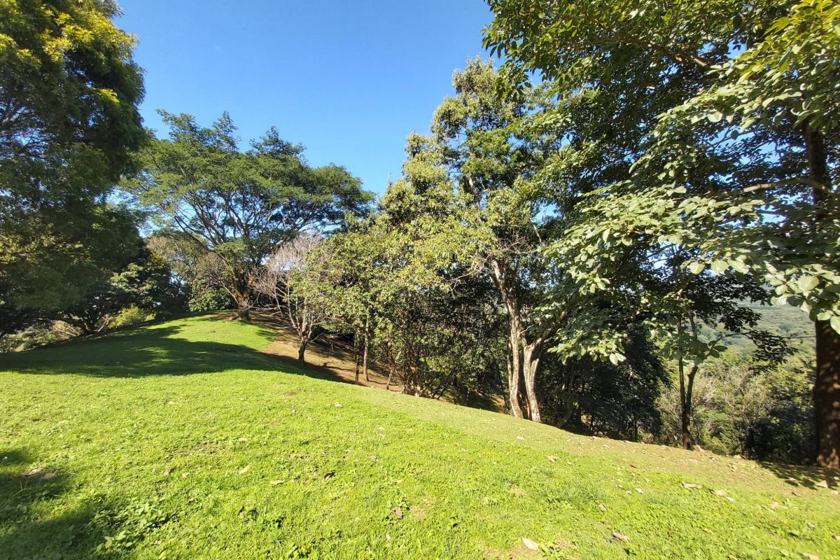 20211109_083008_copy_2448x1836