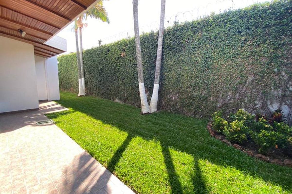 21771976_c8a7a8-a6354547