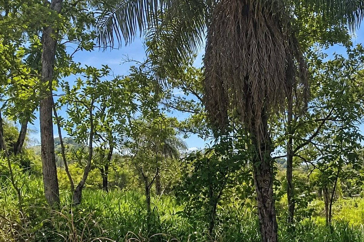 3-