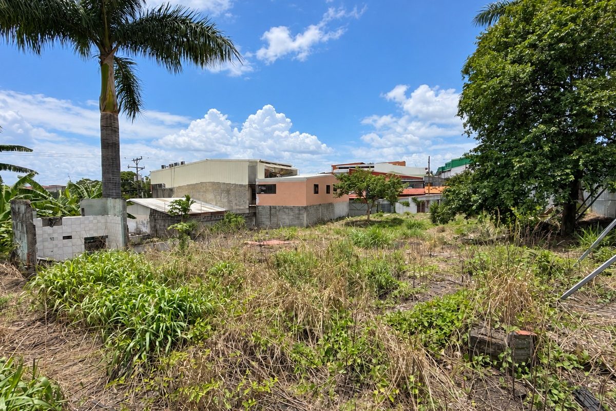 3-comercial-calle-ancha