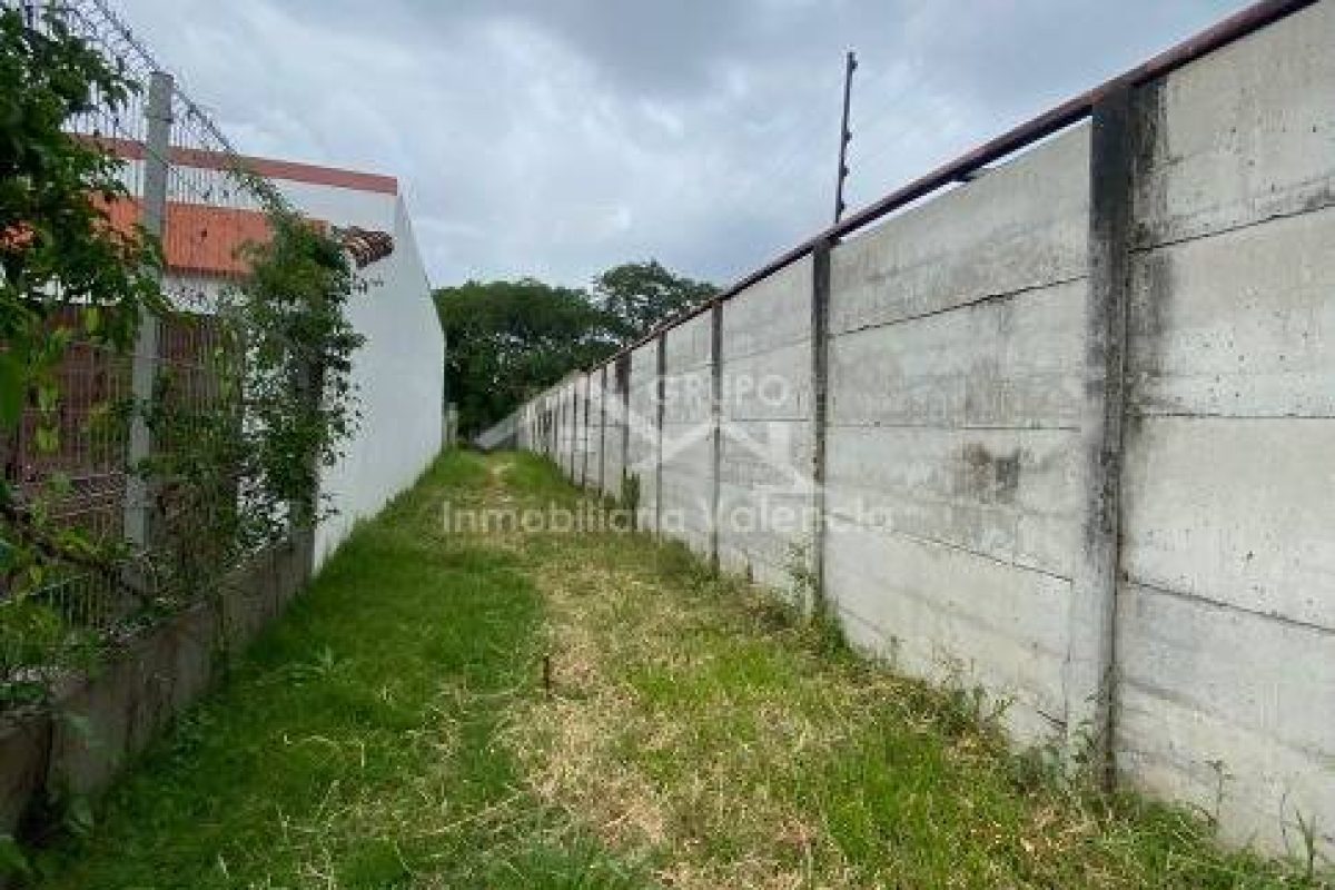 375956440_695859519229876_4864411029381170754_n