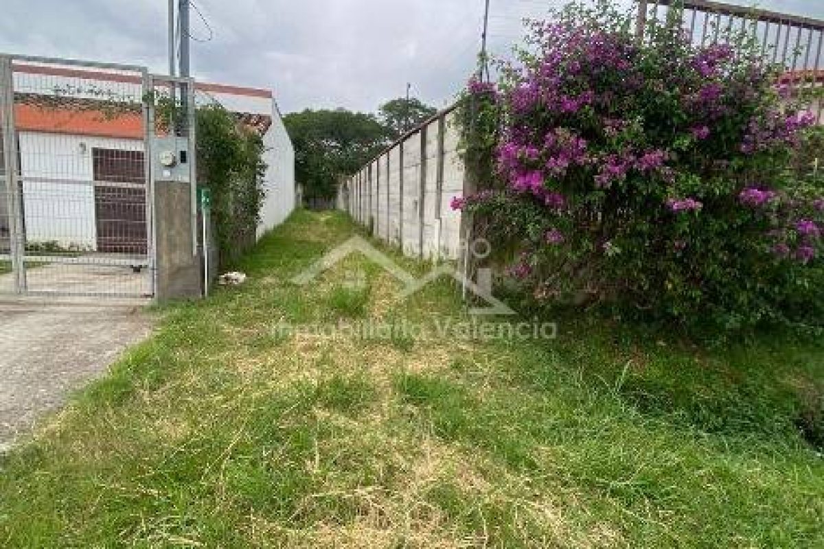 375993065_695859609229867_233377181339670299_n