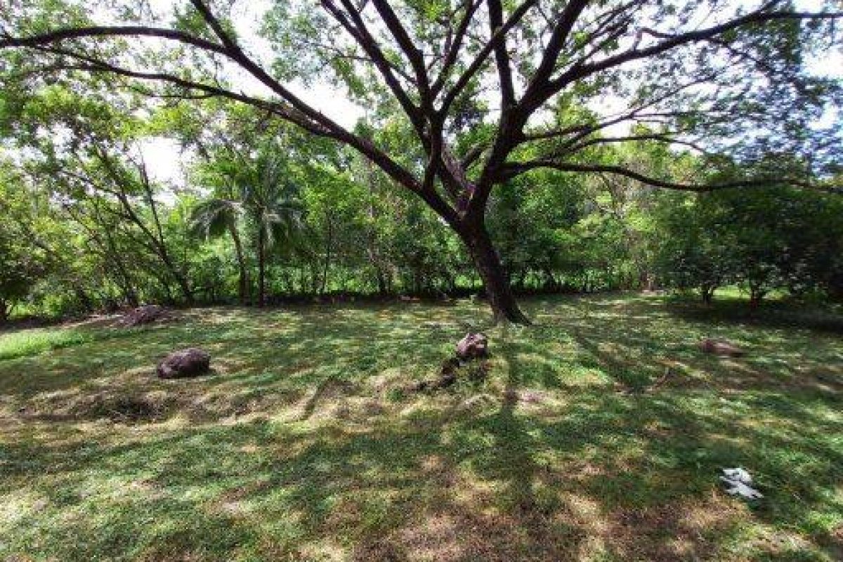 37e96c66-d743-4dce-ada5-e07214916947