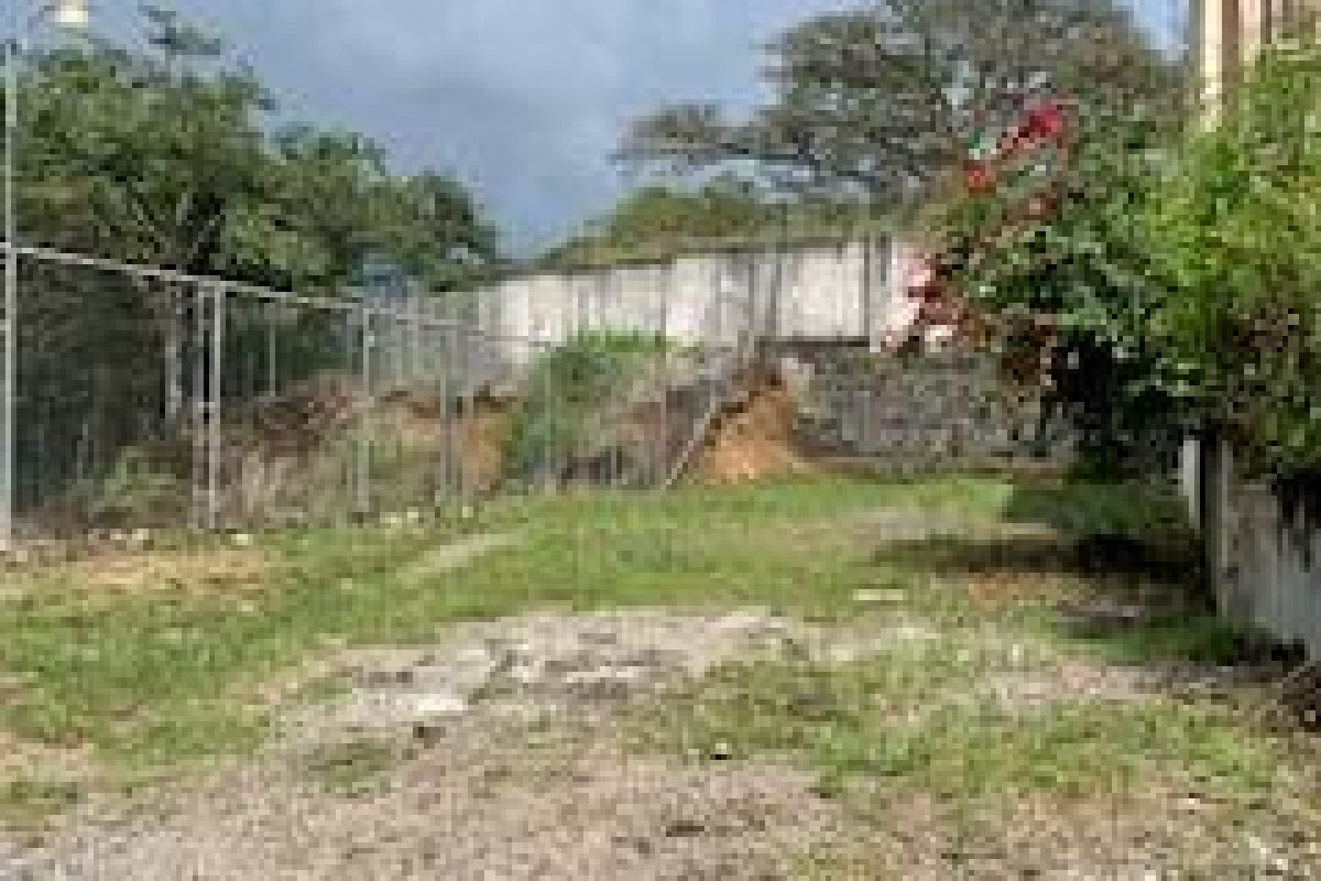 382E998C-EE57-401B-AC84-E65601BC9E1F-4e1cdf77