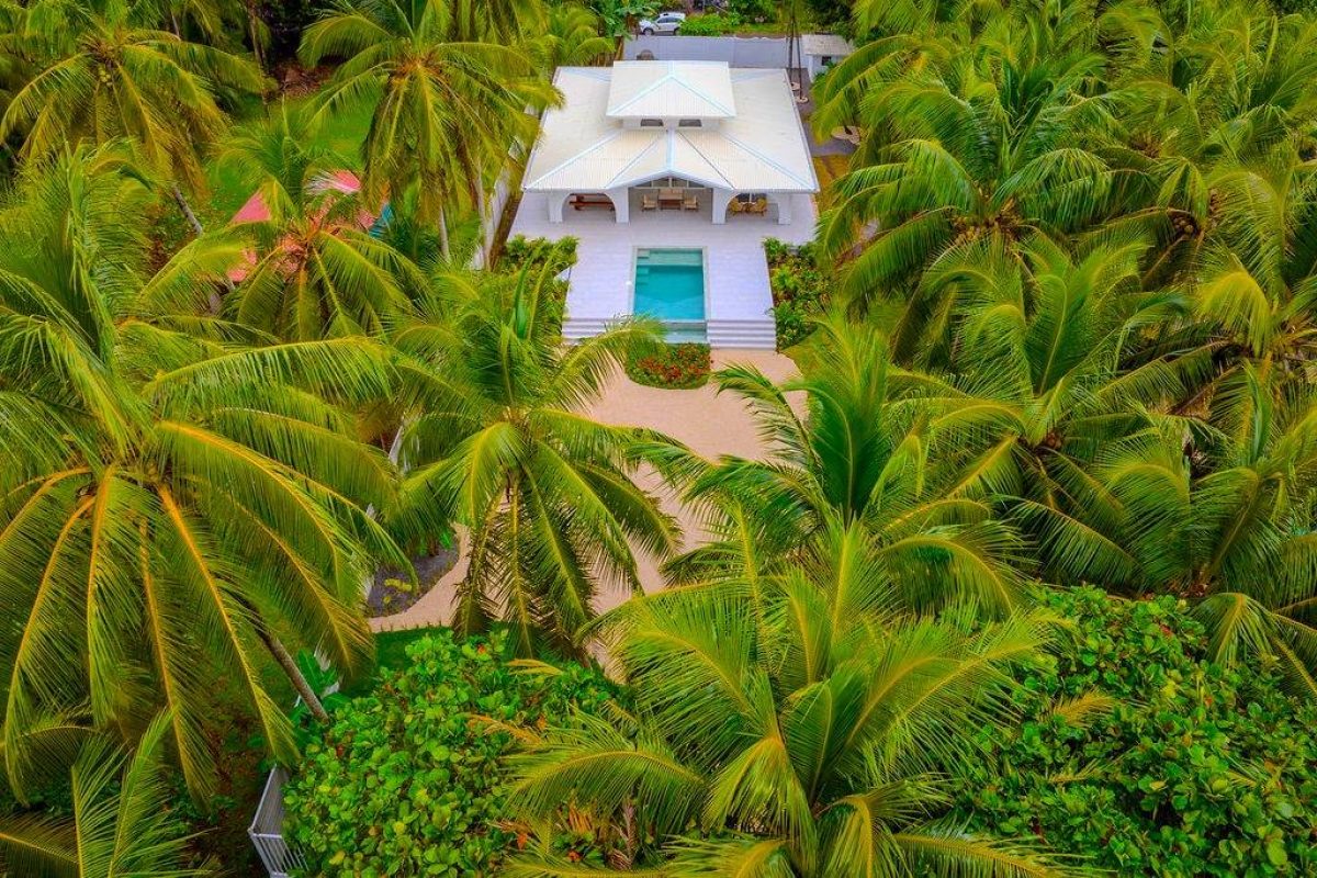 3Casa 5 Palmas Bejuco