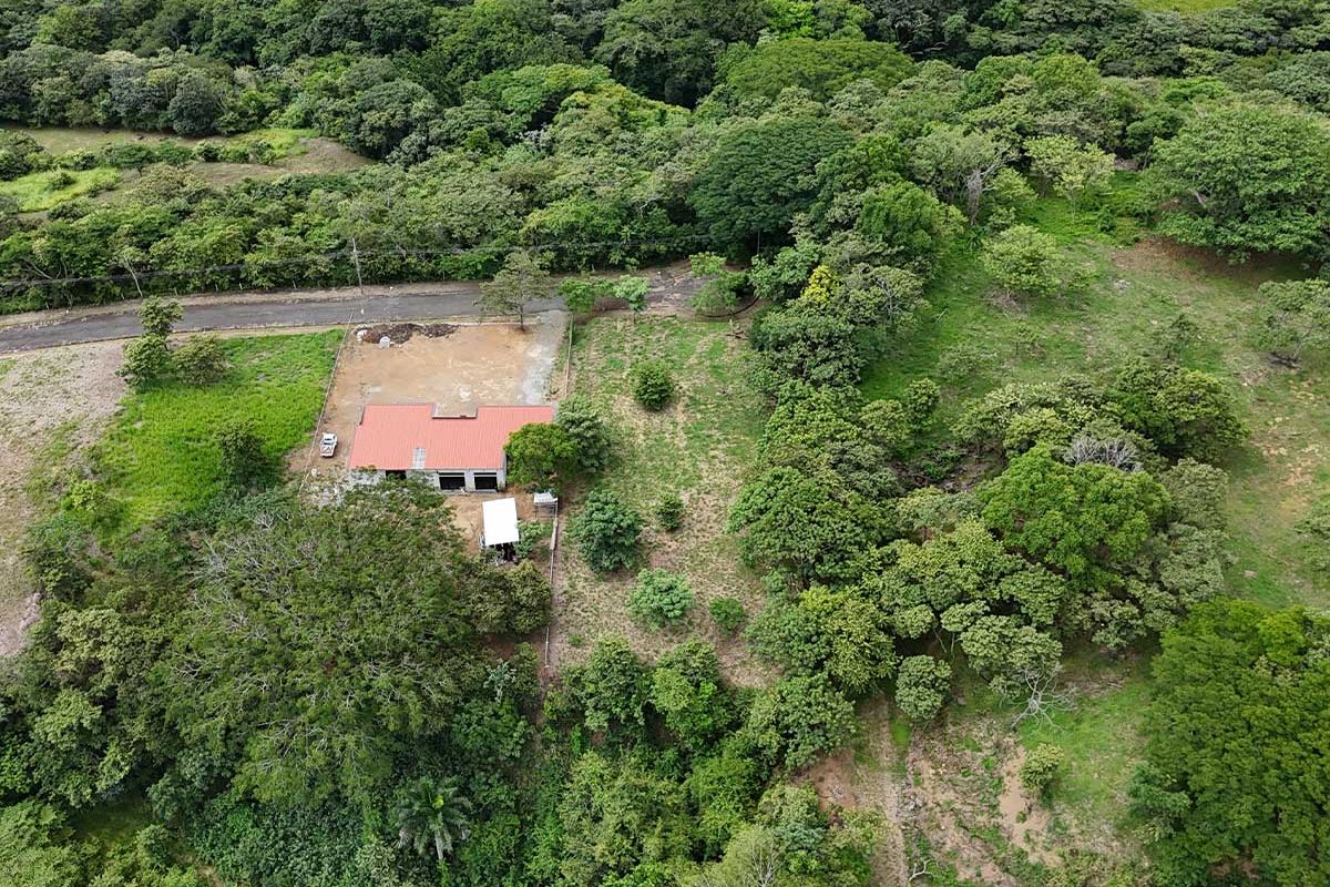 4-CABALLO-REAL-16