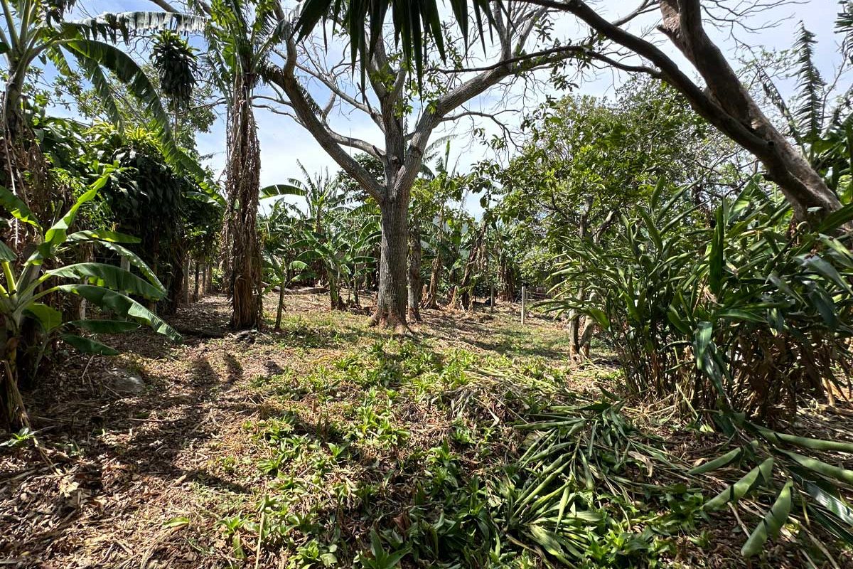 4-lote-santa-barbara