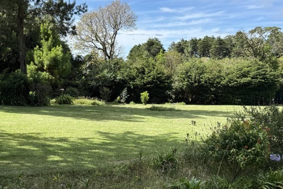 4-terreno-venta-golf-casa-Heredia-bosque-de-la-hoja-Miguel-Fiatt-09.33.14-min-convertido-a-mediano