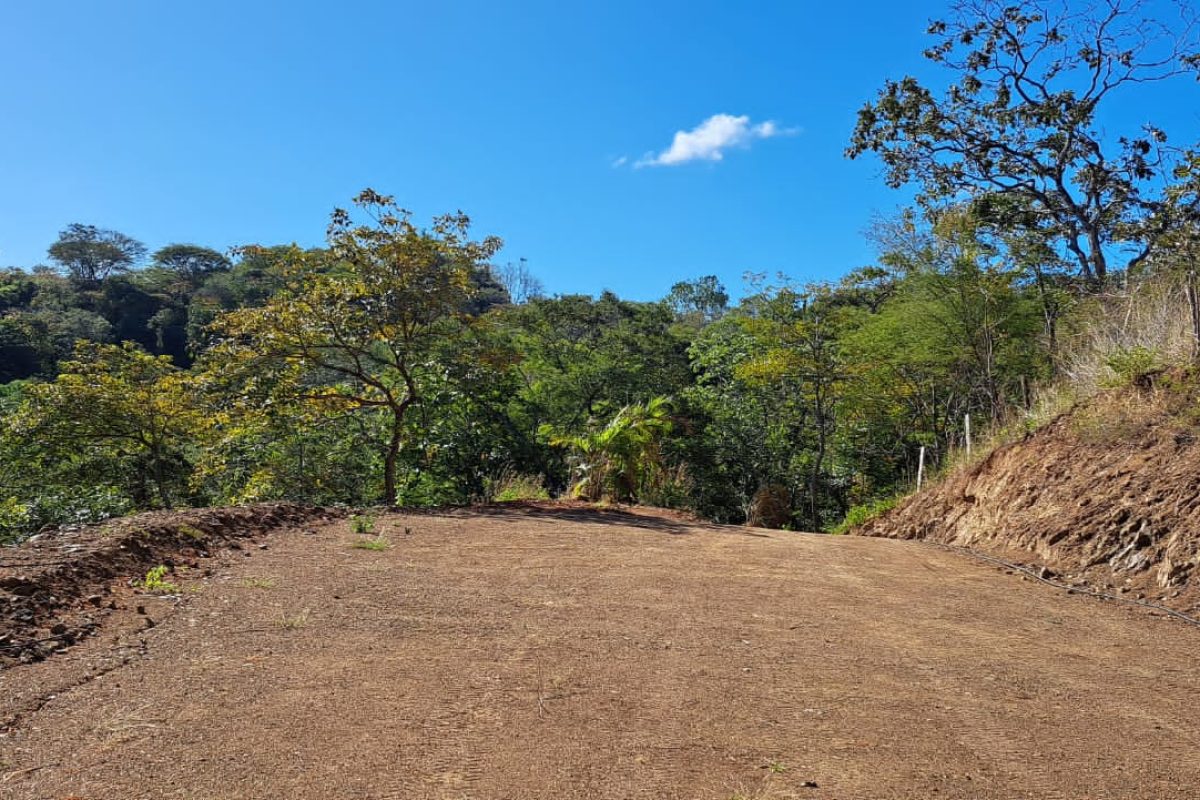 48454bda-0268-4476-82cf-d14086648758