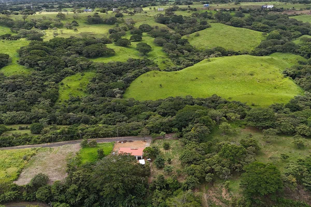 5-CABALLO-REAL-16