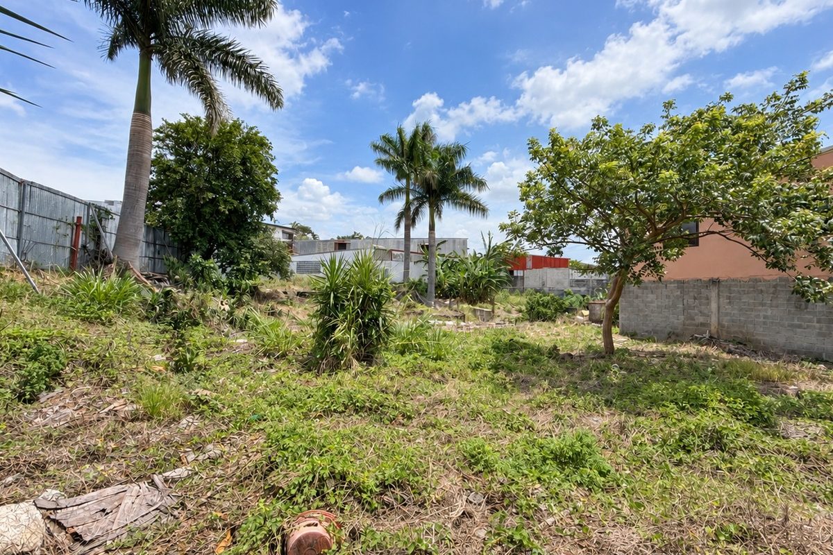 5-comercial-calle-ancha