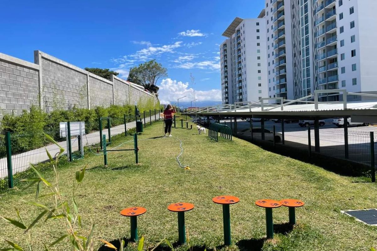 53b37e68-a123-472b-9f24-0f51f3458d7d-0d0d21c1