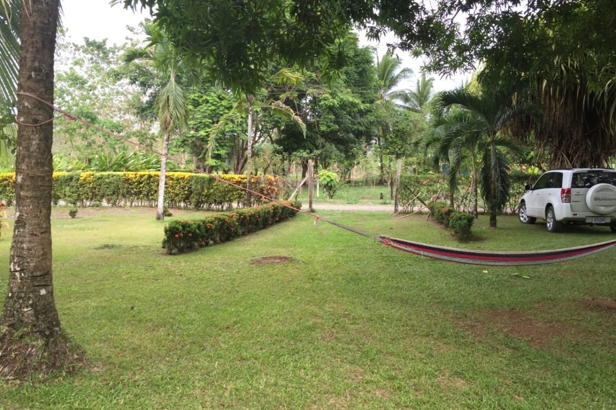 6-c-FOTO