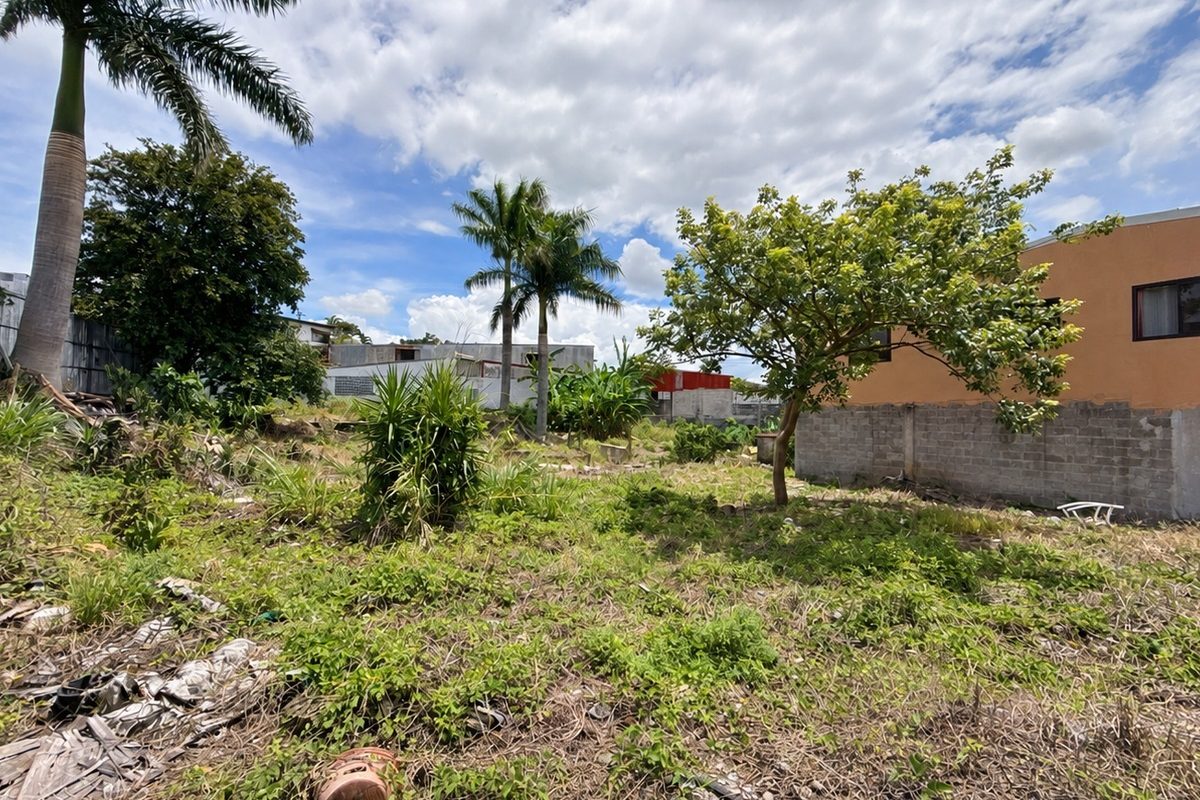 6-comercial-calle-ancha