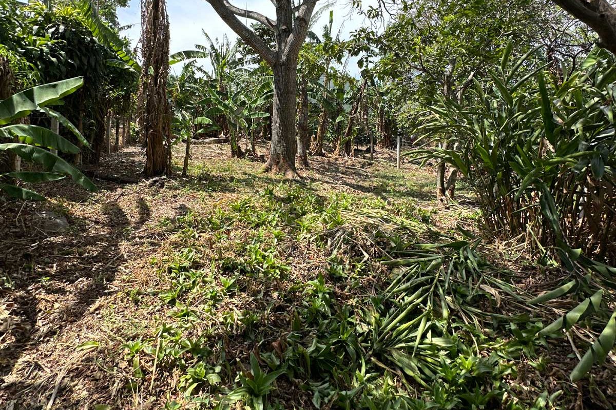 6-lote-santa-barbara