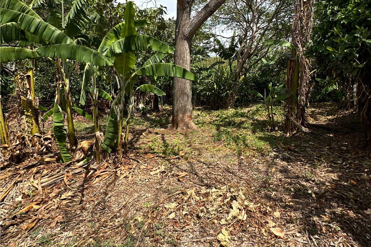 7-lote-santa-barbara