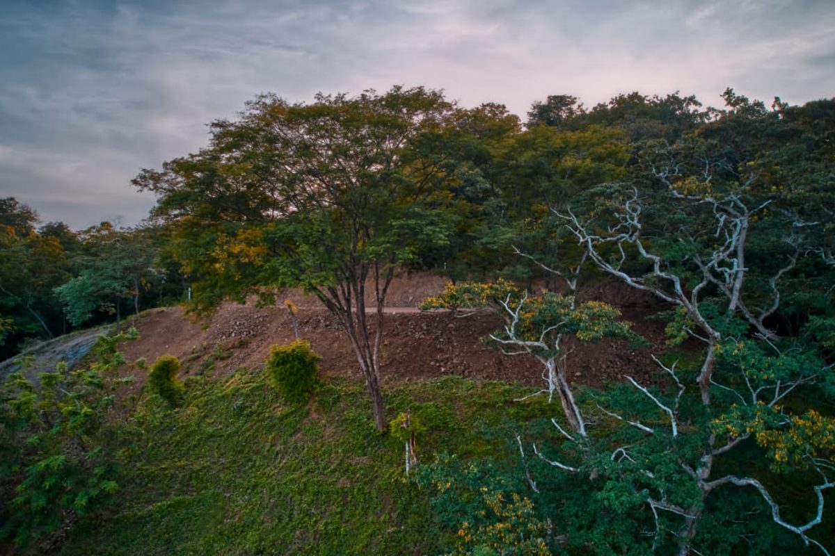 78b4aa27-4ace-4b2b-ac8a-48ccd66aa64b