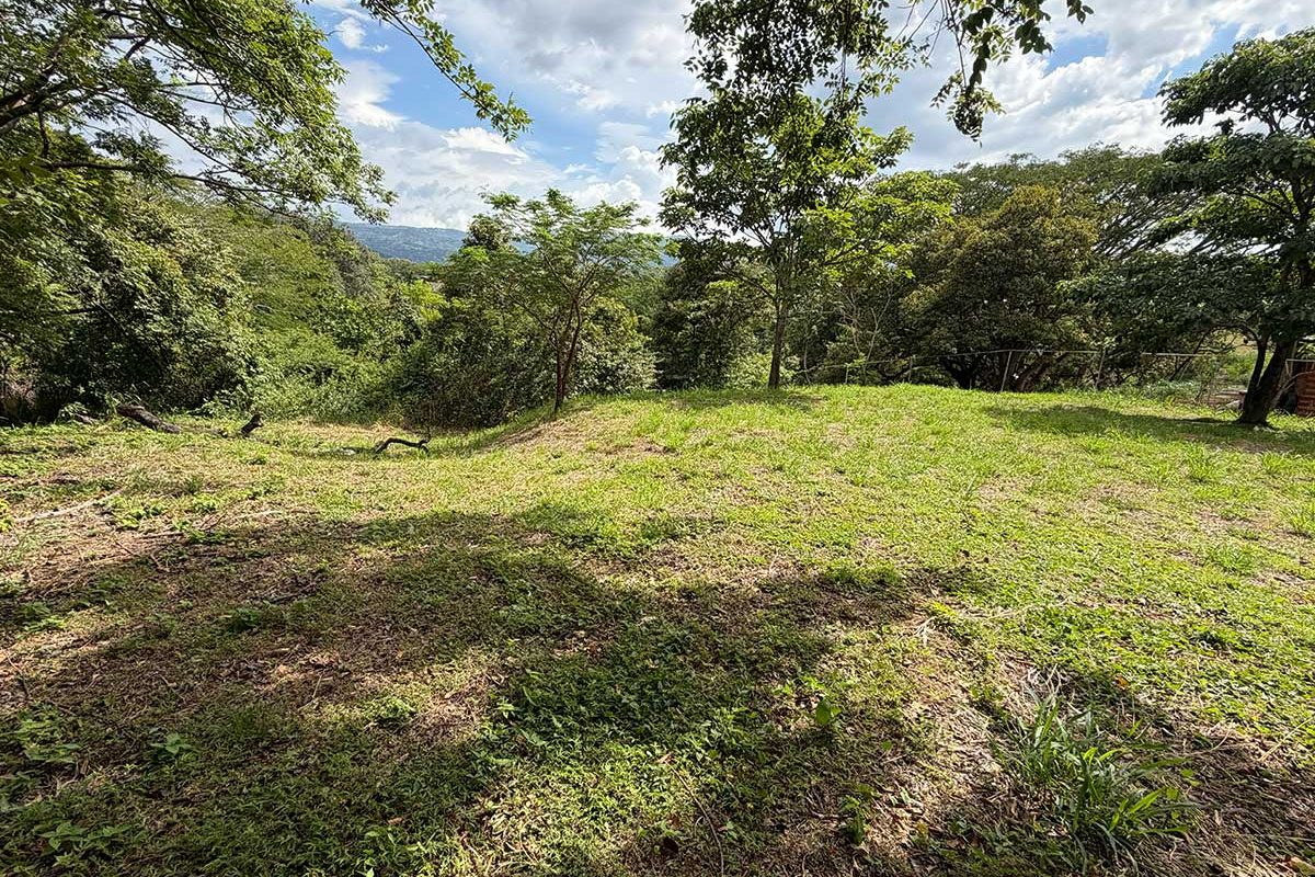 8-CABALLO-REAL-16