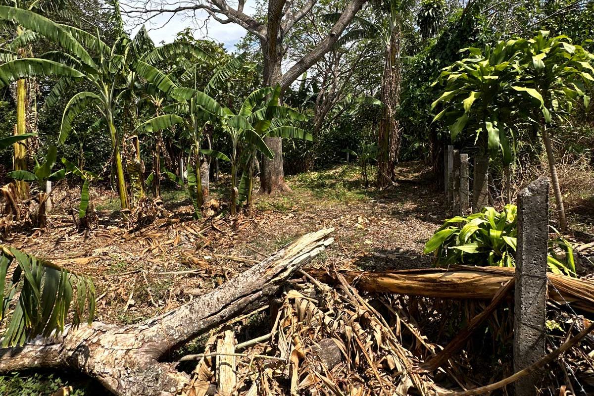 8-lote-santa-barbara