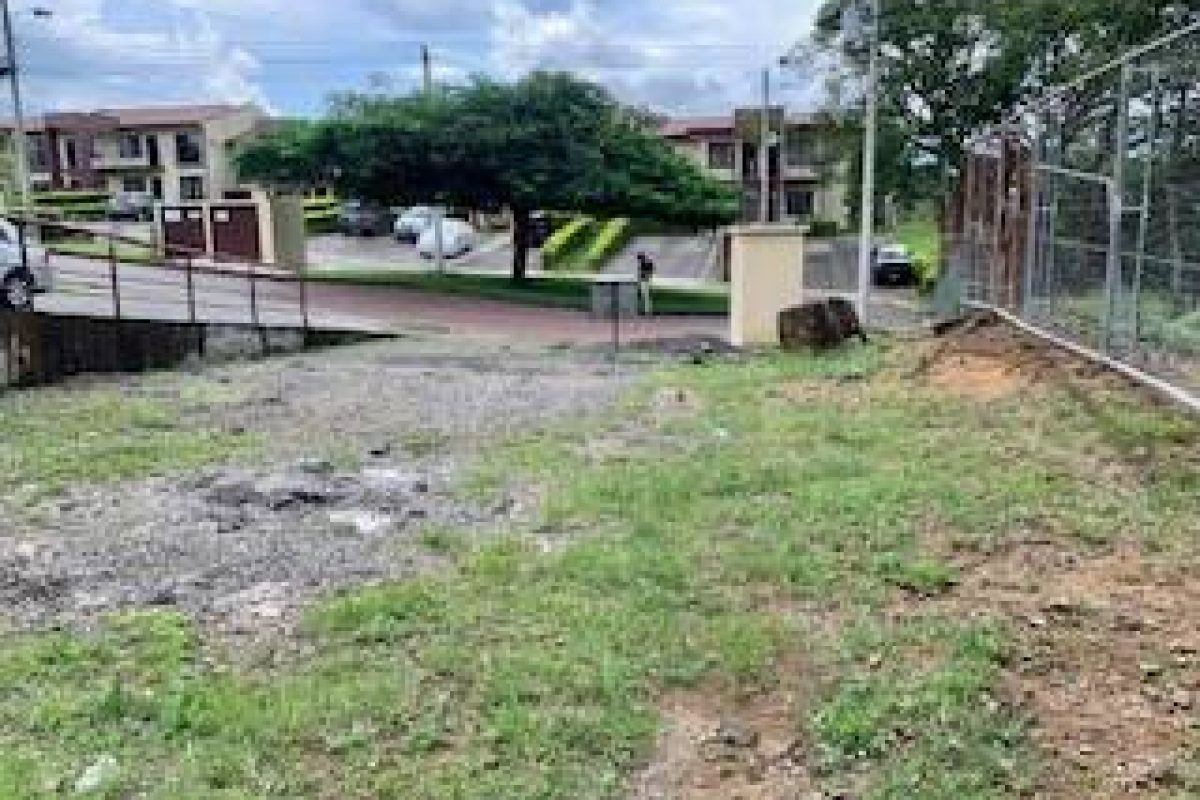 89D12873-7D7A-4D8C-B3CE-7CE431BD2587-cca1b90f