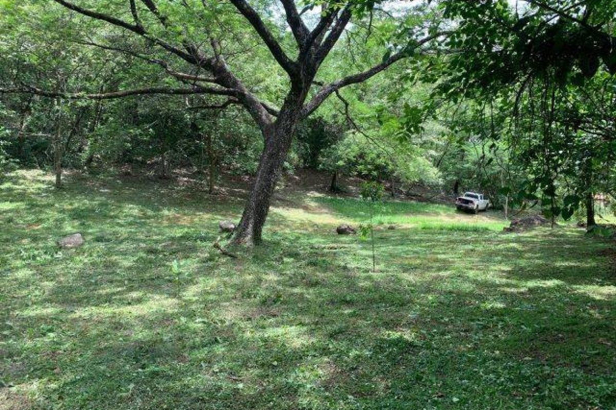 8bfbb9ac-b305-4c17-9ea4-9122a78334b5