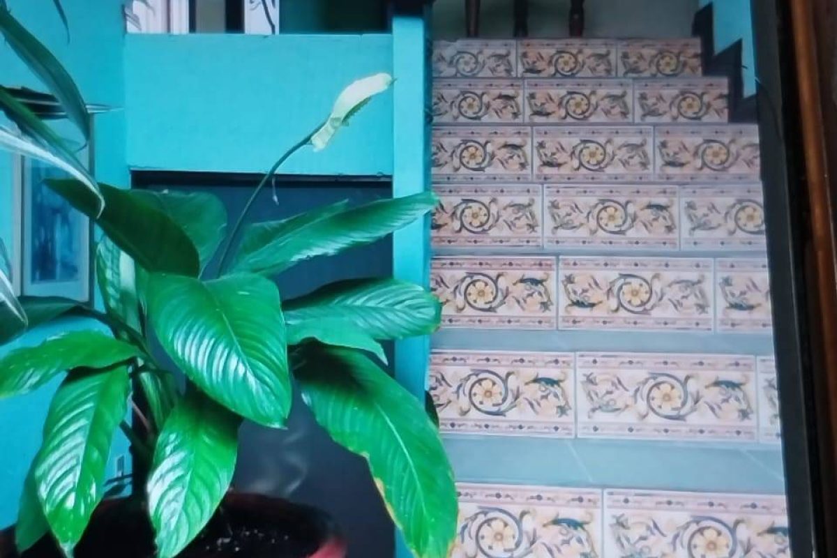 8ed6997f-5b33-42d1-9025-e641985a07e2