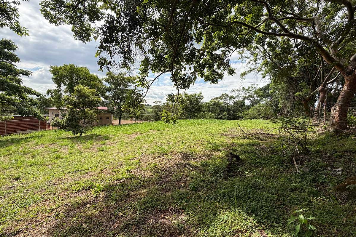 9-CABALLO-REAL-16
