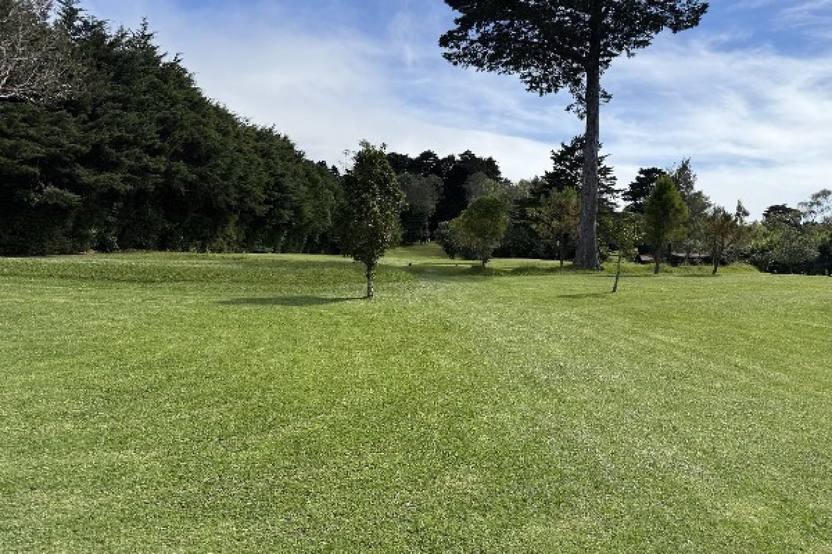 9-terreno-venta-golf-casa-Heredia-bosque-de-la-hoja-Miguel-Fiatt-09.37.34-min-1-convertido-a-mediano