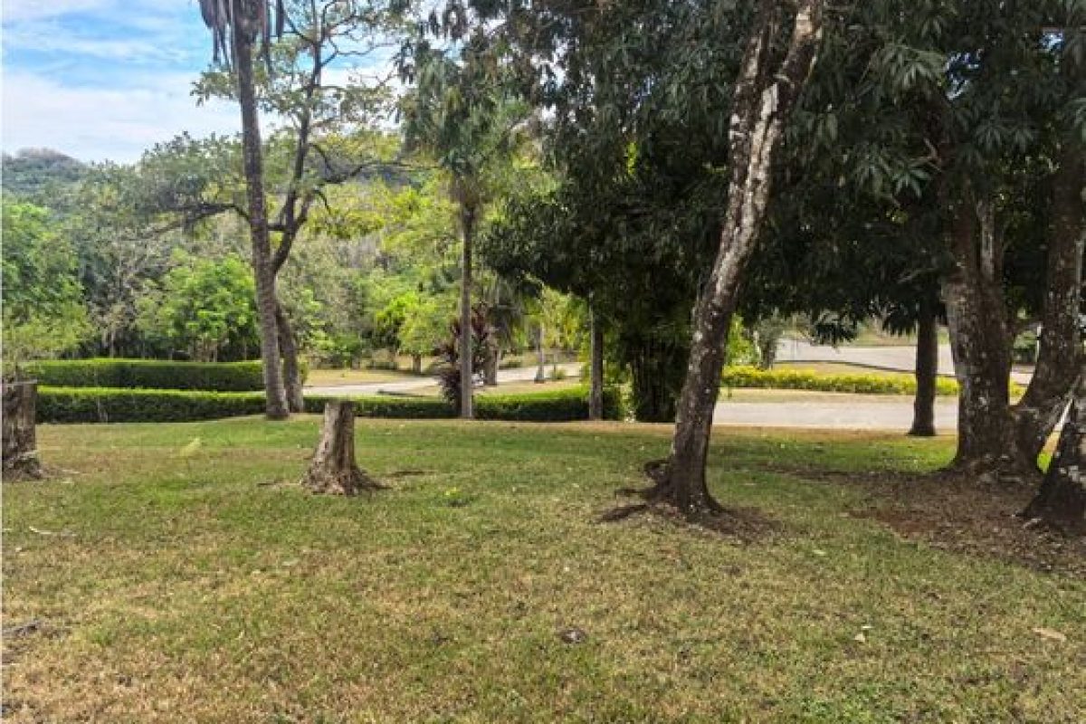 9789049-5