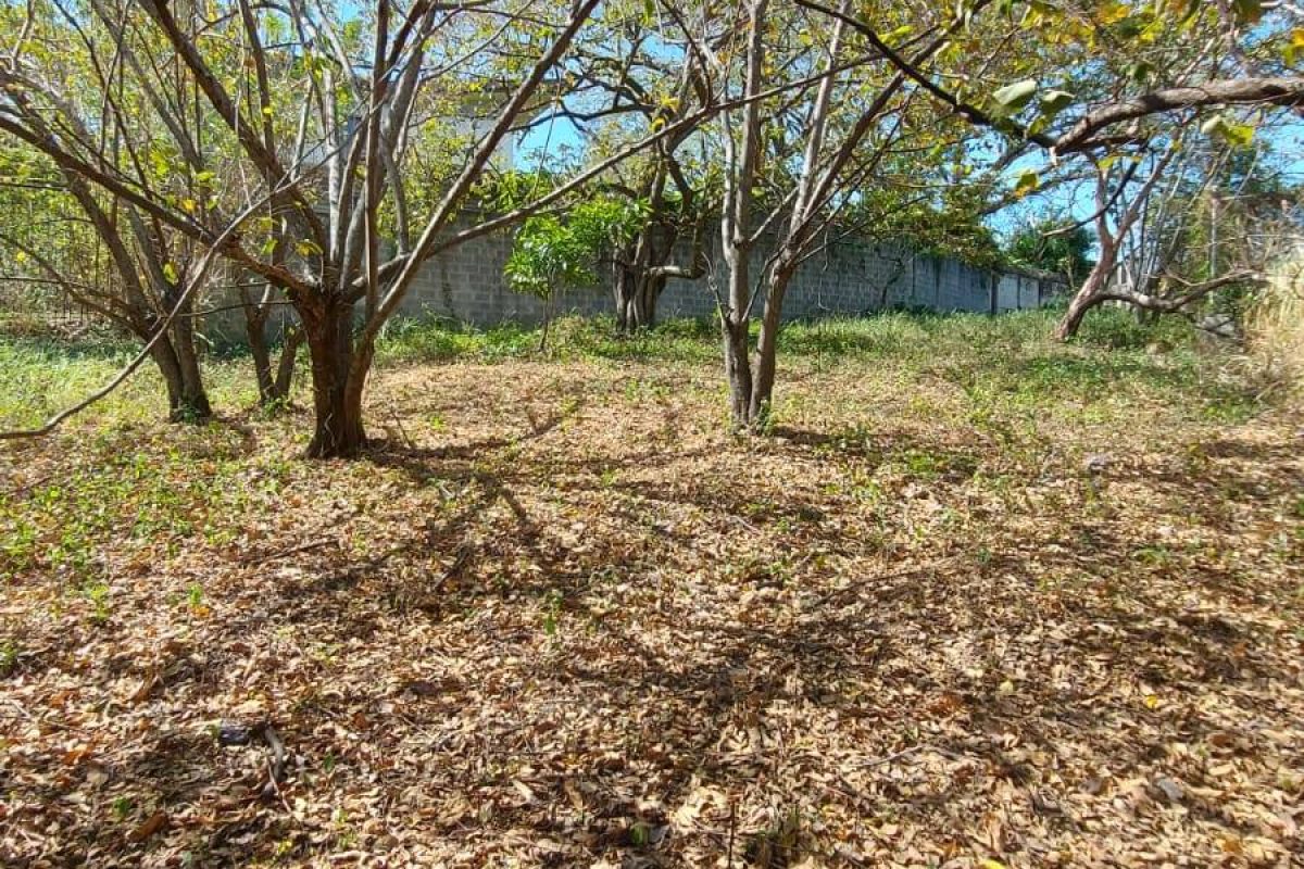 98966a5c-1a8f-4823-8797-4bd4eb702f62