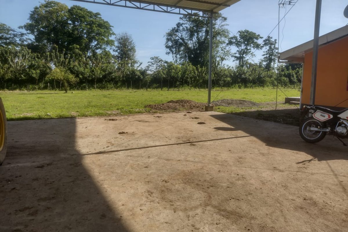 9929328-12