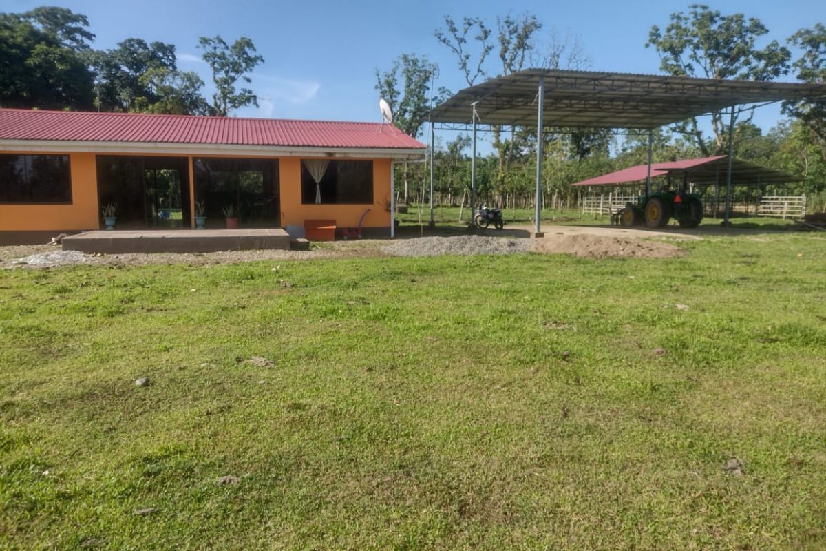 9929328-6