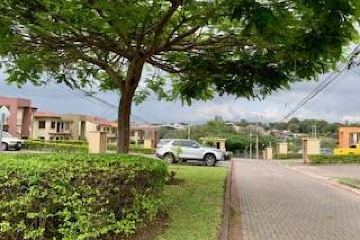 AF12E56F-6CD1-4D25-A32E-35827C605FC0-db9652d2