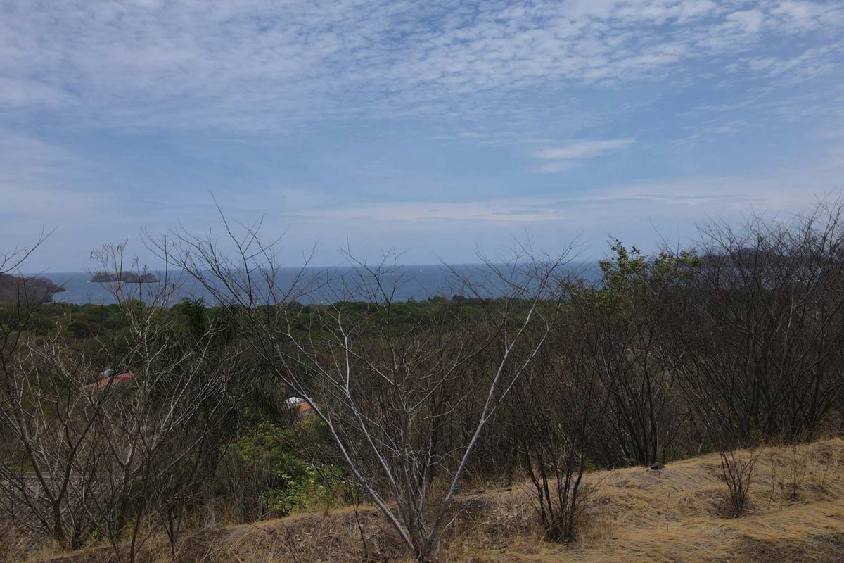 Alta-Vista-11