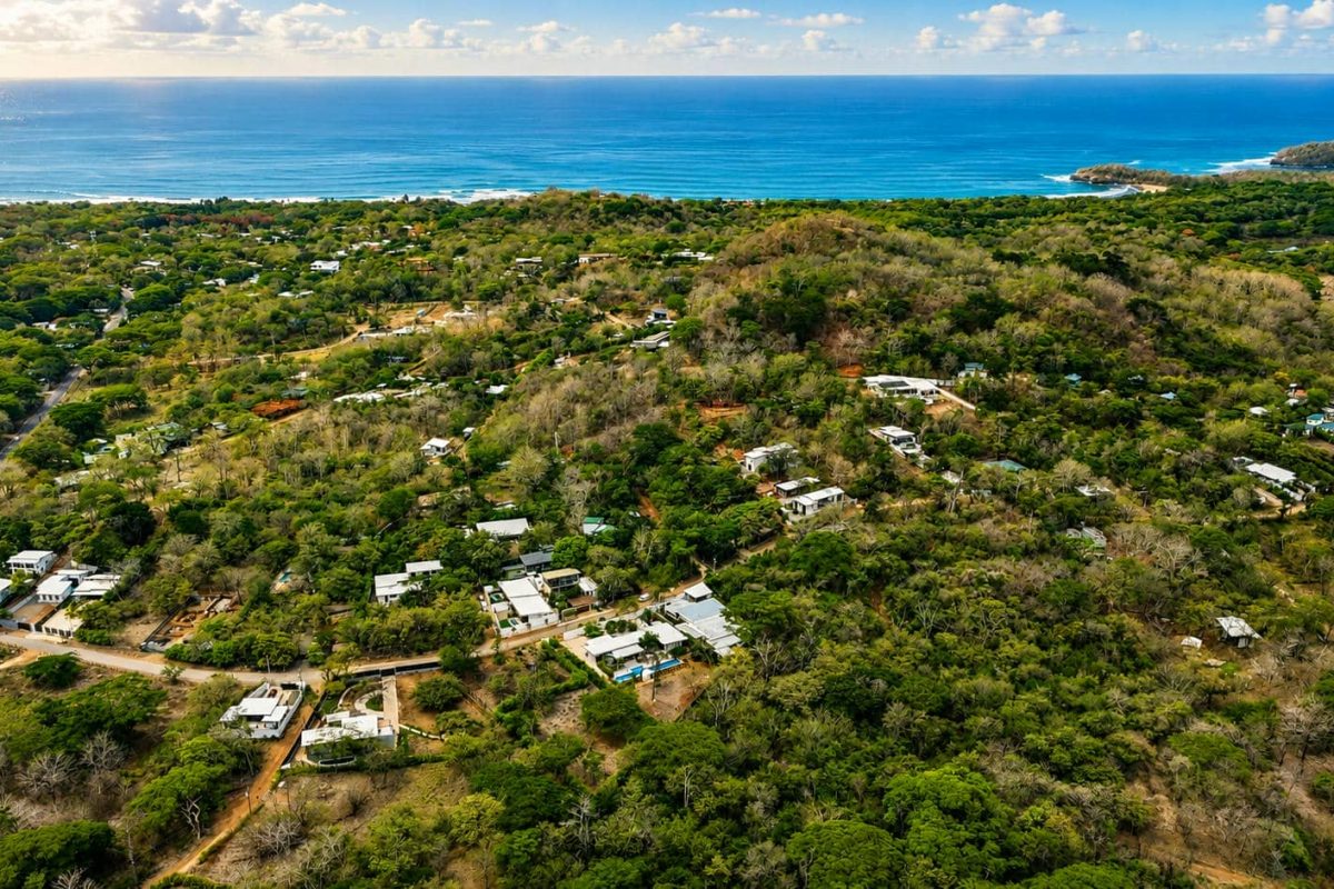 Bird-View-25000m2-
