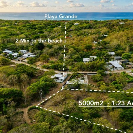Bird-View-3-5000m2-