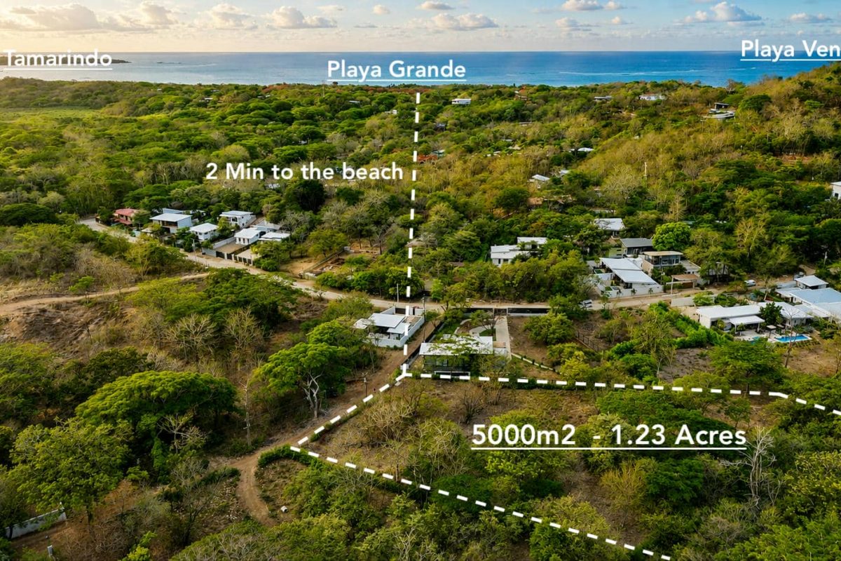 Bird-View-3-5000m2-1-1