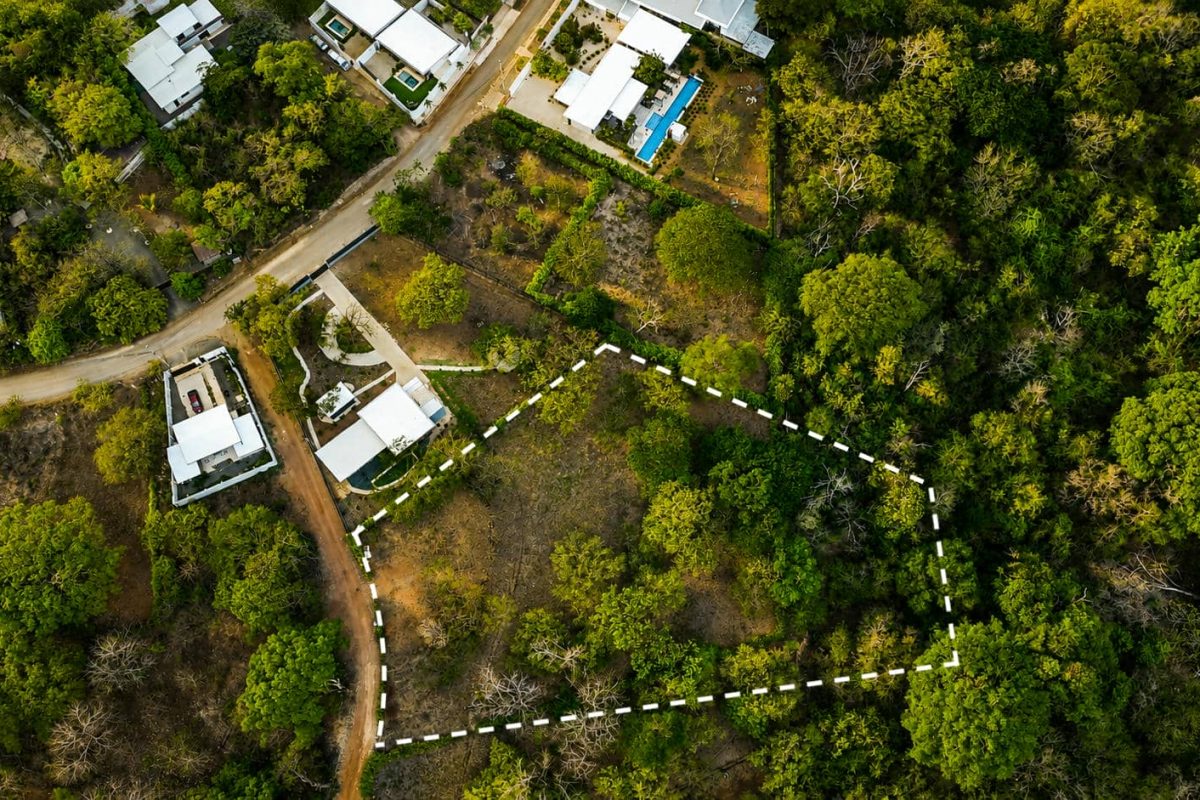 Bird-View-4
