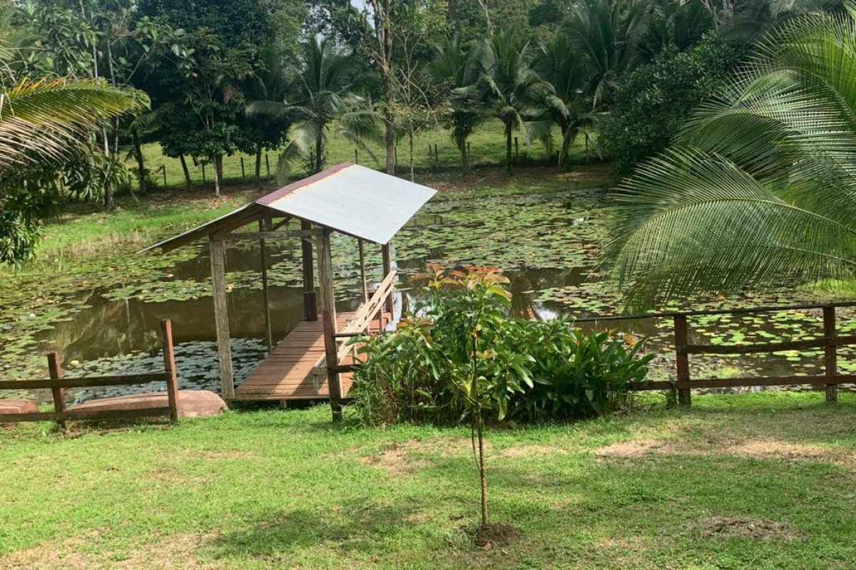 CASA PRINCIPAL (6)-5d378c63