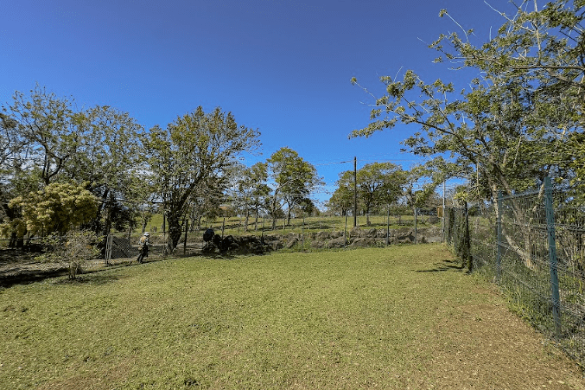 Captura de pantalla 2025-04-04 104259