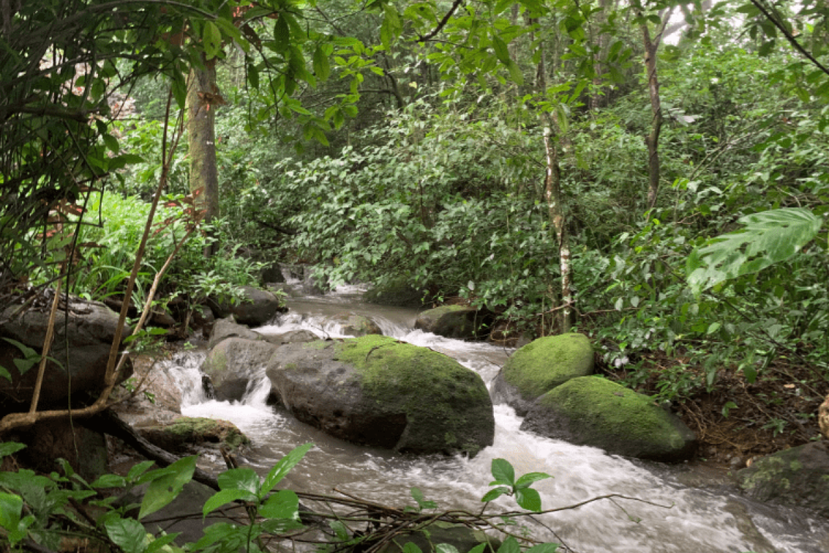 Captura de pantalla 2025-04-04 110750