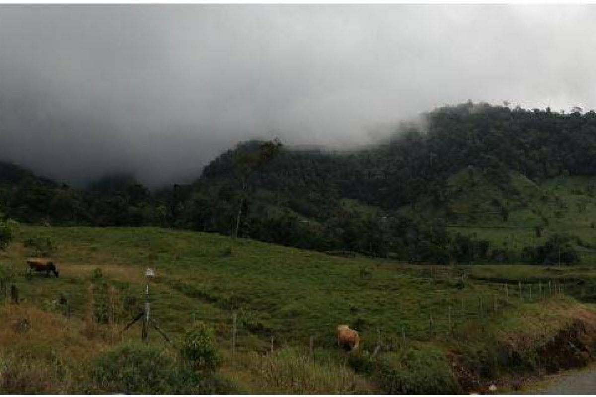 SE VENDE HERMOSA FINCA EN SANTA CRUZ DE TURRIALBA, CARTAGO.: EN EL SECTOR DE BONILLA ARRIBA