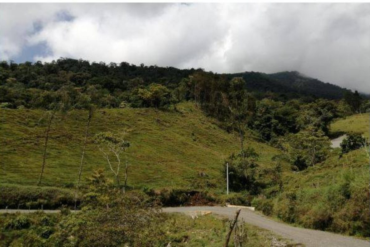 SE VENDE HERMOSA FINCA EN SANTA CRUZ DE TURRIALBA, CARTAGO.: EN EL SECTOR DE BONILLA ARRIBA