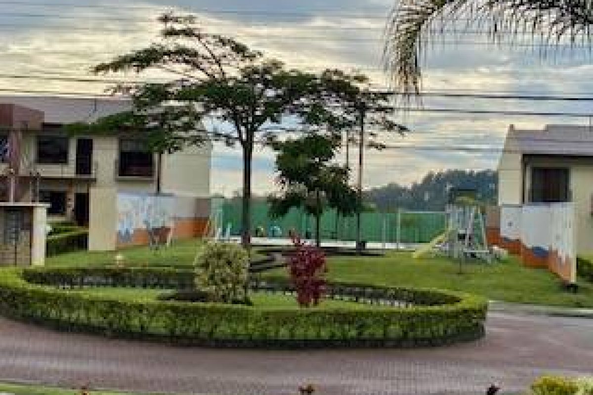 D17129BB-533D-4027-99E8-CA6E37CB3F60-8a038198