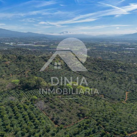DJI_0180-3